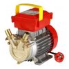 Rover 20 CE Pump (300000 CE)
