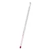 Thermometer Standard