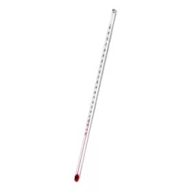 Thermometer Standard