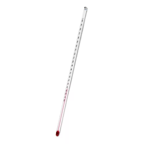 Thermometer Standard