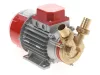Rover Marina-25 /12 V/ pump (100000)
