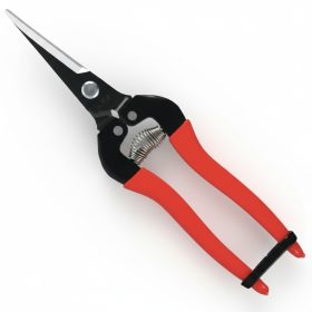 Szüretelőolló egyenes