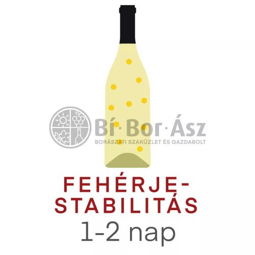Labormérés Fehérjestabilitás