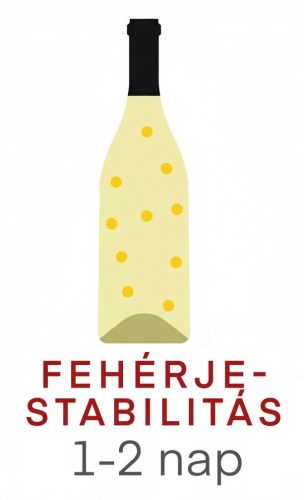 Măsurare de laborator Stabilitatea proteinelor