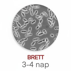 Laboratorijska mjerenja Brett