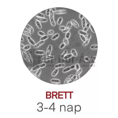 Labormérés Brett