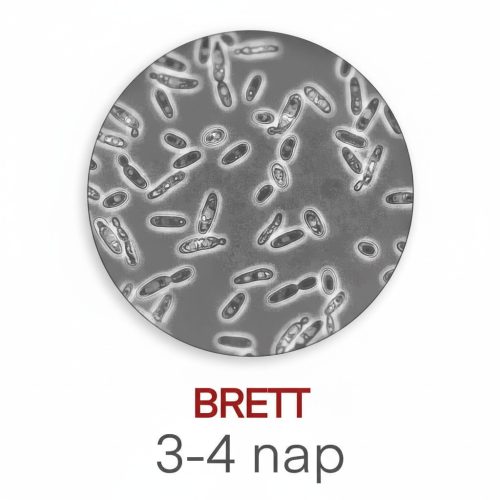 Măsurător de laborator Brett