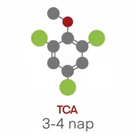 Laboratorijsko mjerenje TCA