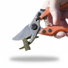 Löwe 11 škare za rezidbu s bočnim rezačem 11.104