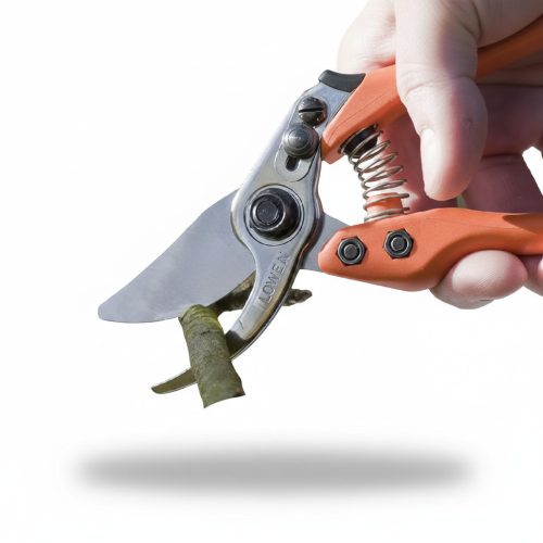 Löwe 11 škare za rezidbu s bočnim rezačem 11.104