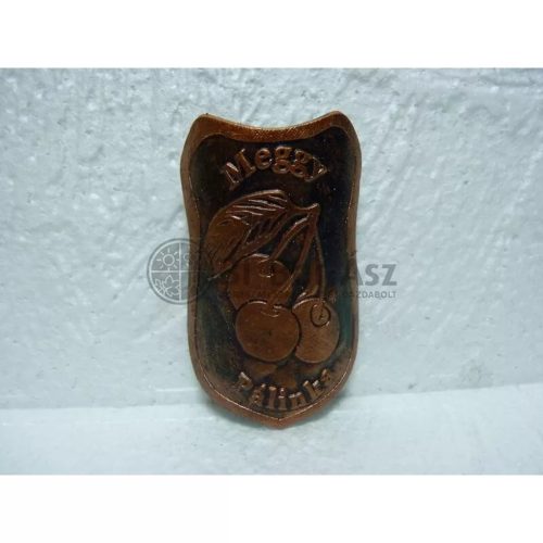 Plakett meggy pajzs bronz