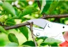 Löwe 5 Gartenschere mit Meißel 5.127