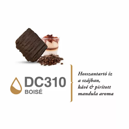 Barrique Chips - Boisé - DC 310 - 10 kg