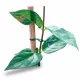 Bandaj 12 cm acoperit cu plastic