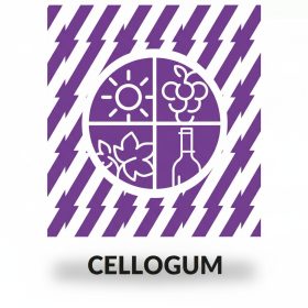 Cellogum L (CMC) leather stabilizer 1 kg