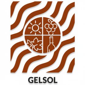 Gelsol 0,5 kg