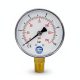Pressure gauge STANDING 63mm plastic case 0-10 bar (1/4")