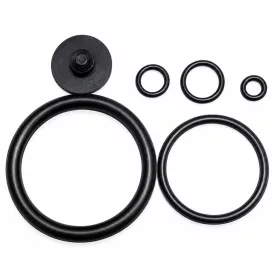 Garden sprayer repair kit