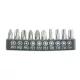 Dedra Schraubendreher-Bit-Satz 10-teilig 25mm (18A07S10)