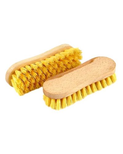 Scrub brush sponge tree - Root brush