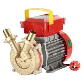 Rover Be-M 20 pumpa (300 000)