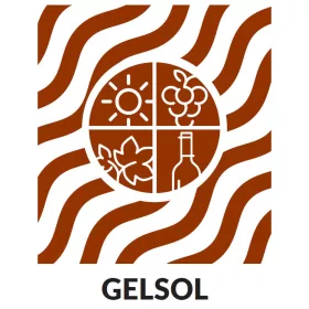 Gelsol 200 ml