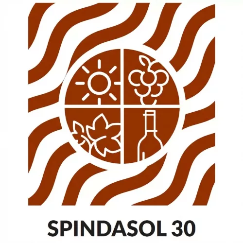 Baysmallol 30/Spindasol BK 500ml