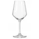 Pahar de vin cristal 540ml 6buc/cutie (S83BJ54)