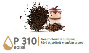 SM barr čips P310, gulaš od 1 kg može se pumpati