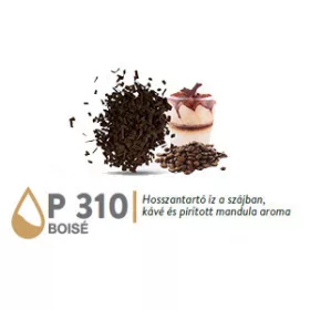 Barrique Chips - Boisé - P310 - 10 kg (szivattyúzható)