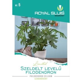   Seed Royal Premium categoria 5 Frunze Plantă ornamentală/ Philodendron-Philodendron Selloum