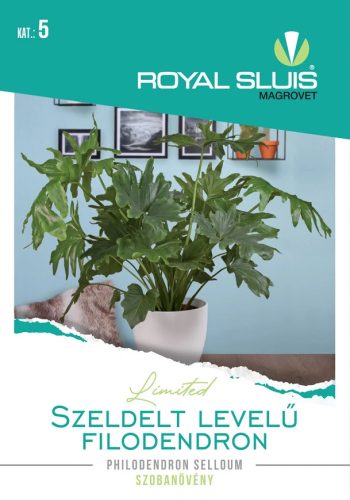 Vetőmag Royal Prémium 5. kategória Levél Dísznövény/ Szeldelt levelű filodendron-Philodendron Selloum