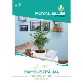   Seed Royal Premium Categoria 5 Frunze Ornamentale Plant/Bambus Palm-Chamaedorea Elegans