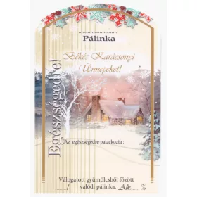   Etikett Schnaps 10 Stück (gebogen) Frohe Weihnachten (Nachtlandschaft, Schneehaus)