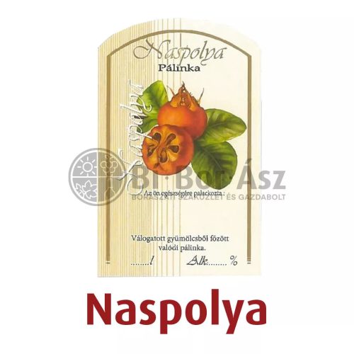 Címke pálinkás 10 db-os (íves) Naspolya