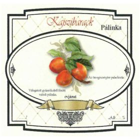 Etichetă țuică 10 buc. caise piersici late noi