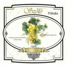 Eticheta brandy 10 buc. nou lat Alb-struguri