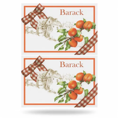 Barack befőttes címke 8db-os