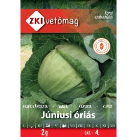 Sămânță ZKI categoria 4 Cap de varză/June Giant