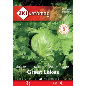 Semințe ZKI categoria 4 Salată de gheață/ Marele Lacuri