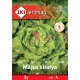 Saatgut ZKI Kategorie 4 Kopfsalat/Maikönig