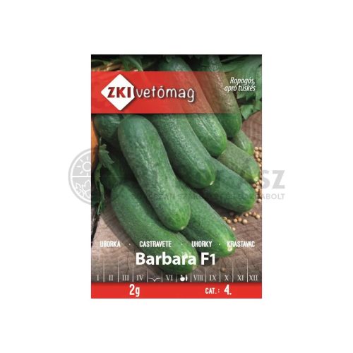 Vetőmag ZKI 4. kategória Uborka/ Barbara F1