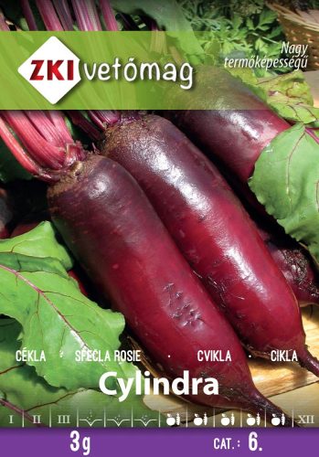 Vetőmag ZKI 6. kategória Cékla/ Cylindra