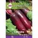 Saatgut ZKI Kategorie 6 Rote Beete/ Cylindra