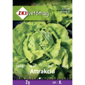 Seed ZKI categoria 6 Salata/ Atractie