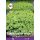 Seminte ZKI categoria 6 Salata verde/ galben australian
