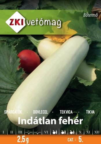 Vetőmag ZKI 5. kategória Spárgatök/ Indátlan Fehér