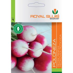 Seed Royal I. categoria Ridiche/ Poloneză