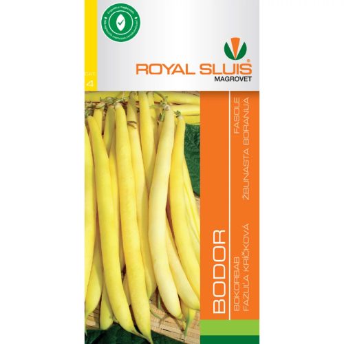 Seed Royal IV. categoria Fasole/Bodor