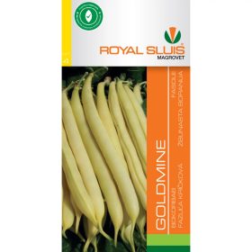 Seed Royal IV. categoria Fasole/ Mina de aur